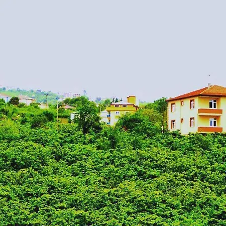 Gold Trabzon
